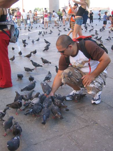 Dave feeding the flying rats in Europe